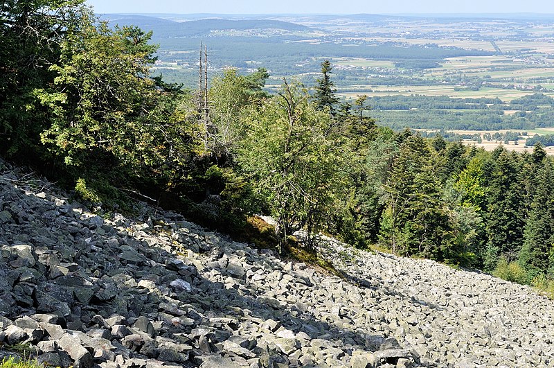 Read more about the article ŚWIĘTOKRZYSKIE I PONIDZIE 17 – 19 lipca